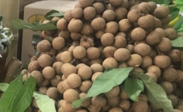 Việt Nam xuất khẩu l&ocirc; nh&atilde;n đầu ti&ecirc;n sang Nhật Bản