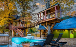 X&acirc;y nh&agrave; tr&ecirc;n 5 c&aacute;i c&acirc;y