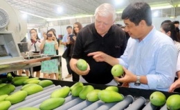 Xuất khẩu rau quả dự b&aacute;o b&ugrave;ng nổ, đạt 4 tỷ USD trong năm 2023