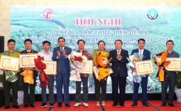 Cả nước đ&atilde; trồng được gần 770 triệu c&acirc;y, đạt 121,4% kế hoạch