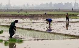 C&aacute;c địa phương cần chuẩn bị tốt c&aacute;c điều kiện lấy nước gieo cấy vụ Đ&ocirc;ng Xu&acirc;n