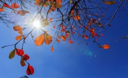 Dự b&aacute;o thời tiết ng&agrave;y 2/1: Miền Bắc nắng ấm trước khi đ&oacute;n kh&ocirc;ng kh&iacute; lạnh