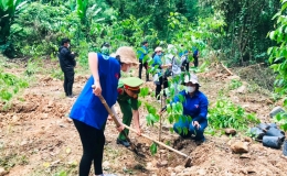 Giai đoạn 2021-2023: Cả nước đ&atilde; trồng gần 770 triệu c&acirc;y xanh