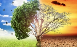 Hệ lụy của biến đổi kh&iacute; hậu tr&ecirc;n to&agrave;n cầu đến năm 2050