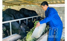 Hưng H&agrave;: Chống r&eacute;t cho đ&agrave;n vật nu&ocirc;i