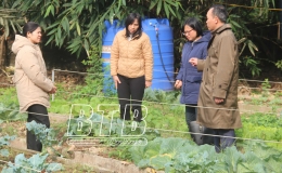 Kiểm tra việc chấp h&agrave;nh ph&aacute;p luật về chất lượng, an to&agrave;n thực phẩm dịp tết Nguy&ecirc;n đ&aacute;n v&agrave; m&ugrave;a lễ hội