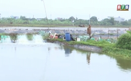 Kiến Xương đẩy mạnh ph&aacute;t triển nu&ocirc;i trồng thủy sản