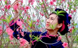 Lạng Sơn: Nhiều hoạt động trong Lễ hội Hoa đ&agrave;o xứ Lạng thu h&uacute;t du kh&aacute;ch