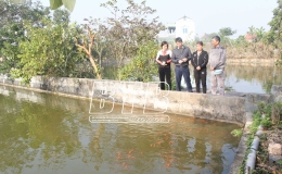 Nghị quyết số 11/NQ-CP: Hỗ trợ phục hồi, ph&aacute;t triển kinh tế sau đại dịch