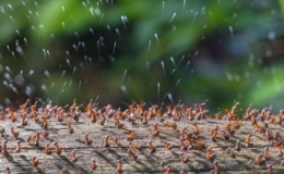 Nh&igrave;n lại những bức ảnh thi&ecirc;n nhi&ecirc;n đẹp cho&aacute;ng ngợp đ&atilde; đoạt giải trong 2023