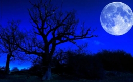 Những hiện tượng thi&ecirc;n văn đ&aacute;ng ch&uacute; &yacute; năm 2024