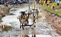 Những lễ hội truyền thống An Giang đặc sắc