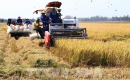  N&ocirc;ng nghiệp đặt mục ti&ecirc;u tăng trưởng 3,2-4%