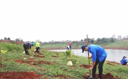 Ph&aacute;t động &ldquo;Tết trồng c&acirc;y&rdquo; thiết thực, hiệu quả, kh&ocirc;ng ph&ocirc; trương h&igrave;nh thức