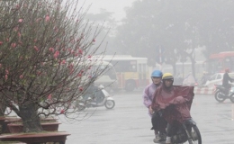 Ph&ograve;ng chống r&eacute;t hại trước khi r&eacute;t hại xảy ra