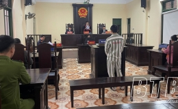 Quỳnh Phụ x&eacute;t xử vụ &aacute;n &ldquo;Cố &yacute; g&acirc;y thương t&iacute;ch&rdquo;   