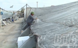 Tăng cường c&aacute;c biện ph&aacute;p ph&ograve;ng, chống r&eacute;t trong nu&ocirc;i trồng thủy sản