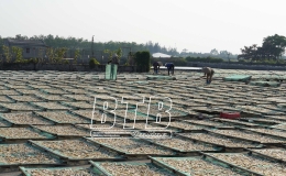 Th&aacute;i Thụy: C&aacute;c cơ sở chế biến thủy sản sẵn s&agrave;ng nguồn h&agrave;ng phục vụ thị trường tết