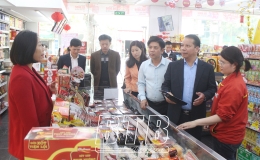  Ban Kinh tế - Ng&acirc;n s&aacute;ch, HĐND tỉnh: Gi&aacute;m s&aacute;t thực hiện c&aacute;c giải ph&aacute;p b&igrave;nh ổn thị trường tết Nguy&ecirc;n đ&aacute;n Ất Tỵ