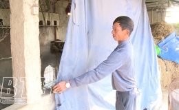 Bảo vệ vật nu&ocirc;i khi r&eacute;t đậm, r&eacute;t hại