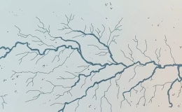 Điều g&igrave; xảy ra nếu rừng Amazon biến mất?