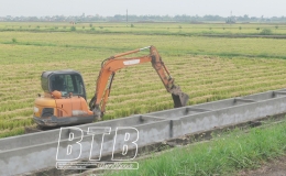 Kiến Xương: T&iacute;ch cực chuẩn bị sản xuất vụ l&uacute;a xu&acirc;n