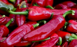 Lễ hội ẩm thực si&ecirc;u cay tại Ph&aacute;p