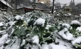 Miền Bắc r&eacute;t về đ&ecirc;m v&agrave; s&aacute;ng, v&ugrave;ng n&uacute;i khả năng c&oacute; băng gi&aacute;, sương muối