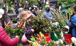 Ng&agrave;y 27-1: Gi&aacute; một số h&agrave;ng h&oacute;a tăng nhẹ