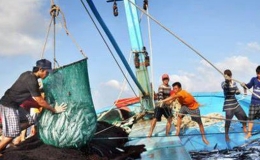 Nghi&ecirc;m t&uacute;c xử l&yacute; vi phạm khai th&aacute;c thủy sản