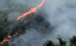 Nguy cơ cao ch&aacute;y rừng ở miền Bắc