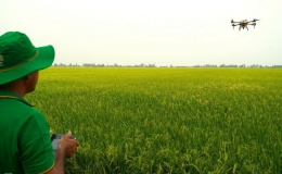 N&ocirc;ng d&acirc;n miền T&acirc;y thu lời tiền tỷ nhờ đầu tư c&ocirc;ng nghệ