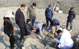 Ph&aacute;t hiện h&oacute;a thạch c&aacute; sấu kỷ Đệ Tam tại Lạng Sơn