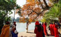 Thời tiết ng&agrave;y 2/1:  Bắc Bộ s&aacute;ng v&agrave; đ&ecirc;m trời r&eacute;t, ng&agrave;y nắng hanh