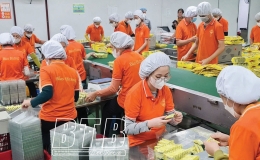 Thu ng&acirc;n s&aacute;ch - một năm khởi sắc