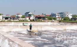 Thụy Xu&acirc;n: Hiệu quả từ v&ugrave;ng chuyển đổi nu&ocirc;i trồng thủy sản