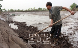 Tiền Hải: Chủ động cải tạo ao đầm nu&ocirc;i trồng thủy sản vụ xu&acirc;n h&egrave;