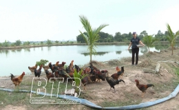 Vũ Thư: Kinh tế trang trại mang lại hiệu quả cao