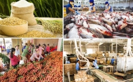 Xuất khẩu n&ocirc;ng, l&acirc;m, thủy sản đạt kỷ lục 62,4 tỷ USD trong năm 2024