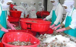 Kỳ vọng xuất khẩu hải sản tiếp tục tăng mạnh