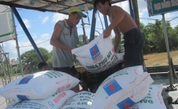 Gian nan xuất khẩu ph&acirc;n b&oacute;n