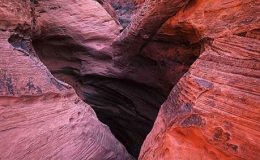 Những tr&aacute;i tim kỳ diệu của thi&ecirc;n nhi&ecirc;n