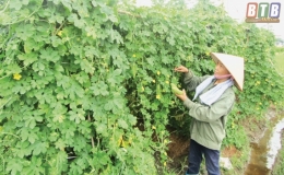 Ph&aacute;t huy sức mạnh đo&agrave;n kết, x&acirc;y dựng Quỳnh Minh ng&agrave;y c&agrave;ng gi&agrave;u mạnh