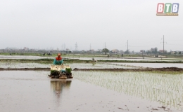 L&agrave;m gi&agrave;u từ cấy thu&ecirc;