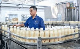 C&ocirc;ng ty Cổ phần Tập đo&agrave;n Hương Sen - Đổi mới  để ph&aacute;t triển