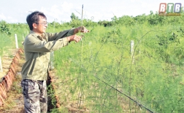 Thi gan l&agrave;m gi&agrave;u