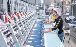 Kiến Xương vươn m&igrave;nh ph&aacute;t triển