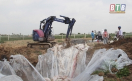 Đ&ocirc;ng Hưng tập trung ph&ograve;ng, chống dịch bệnh nguy hiểm tr&ecirc;n đ&agrave;n lợn