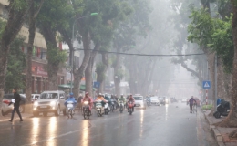 Tin gi&oacute; m&ugrave;a Đ&ocirc;ng Bắc