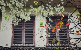 Khi n&agrave;o miền Bắc nắng ấm trở lại?